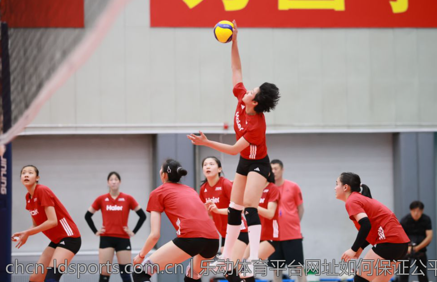 乐动体育平台网址如何保证公平性与透明度
