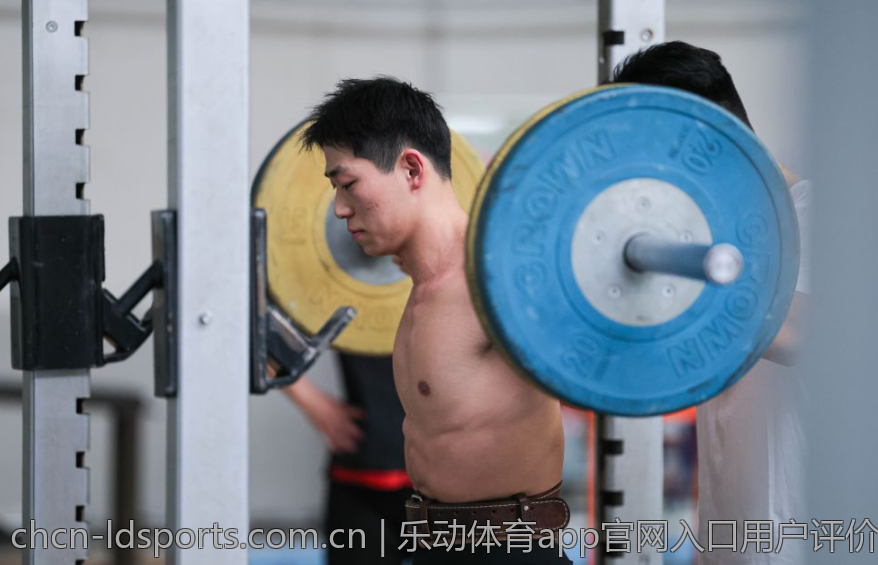 乐动体育app官网入口用户评价与使用满意度分析